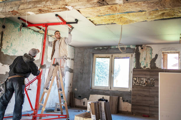 Best Types of Insulation in Belle Plaine, MN